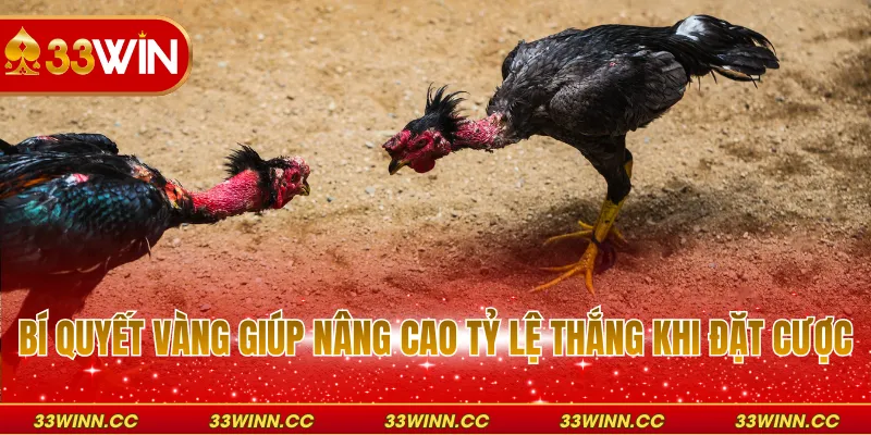 Bí quyết vàng giúp nâng cao tỷ lệ thắng khi đặt cược
